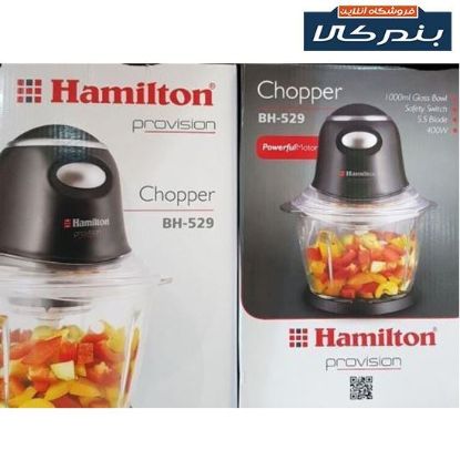 تصویر خردکن همیلتون مدل BH 529